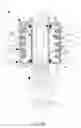 Fig. 10 - Fluid whirl lighting apparatus
