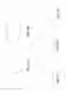 Fig. 08 - Swirly fluid sprinkler