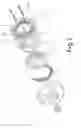 Fig. 03 - Automatic rotation system for tilting seats of chairs or armchairs