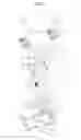 Fig. 03 - Horizontal linear vibrator