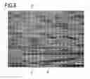 Fig. 08 - Split stator member and method of manufacturing the split stator member