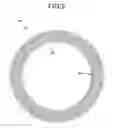 Fig. 09 - Stator for electric rotating machine