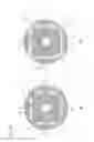 Fig. 19 - Permanent Magnet Synchronization Motor