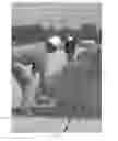 Fig. 02 - ELECTROMAGNETIC ANTENNA AND METHOD OF USE FOR DETECTING OBJECTS