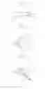 Fig. 08 - Watch type mobile terminal and antenna thereof