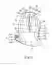 Fig. 02 - MOUSE STRUCTURE WITH MUSIC EDITING FUNCTION