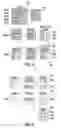 Fig. 04 - Ambient correction in rolling image capture system