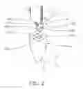 Fig. 03 - STYLUS