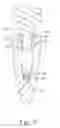 Fig. 06 - STYLUS