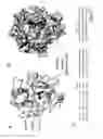 Fig. 02 - CRYSTAL STRUCTURE OF THE COMPLEX OF HEPATOCYTE GROWTH FACTOR BETA CHAIN WITH MET RECEPTOR AND METHODS OF USE