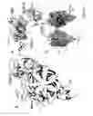 Fig. 03 - CRYSTAL STRUCTURE OF THE COMPLEX OF HEPATOCYTE GROWTH FACTOR BETA CHAIN WITH MET RECEPTOR AND METHODS OF USE