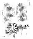 Fig. 05 - CRYSTAL STRUCTURE OF THE COMPLEX OF HEPATOCYTE GROWTH FACTOR BETA CHAIN WITH MET RECEPTOR AND METHODS OF USE