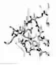 Fig. 07 - CRYSTAL STRUCTURE OF THE COMPLEX OF HEPATOCYTE GROWTH FACTOR BETA CHAIN WITH MET RECEPTOR AND METHODS OF USE