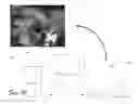 Fig. 11 - Assisted adaptive region editing tool