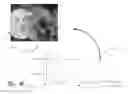 Fig. 13 - Assisted adaptive region editing tool