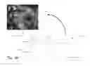 Fig. 15 - Assisted adaptive region editing tool