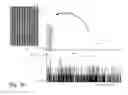 Fig. 16 - Assisted adaptive region editing tool