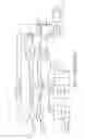Fig. 02 - Circuit for performing dithering on pixels of a display and method thereof