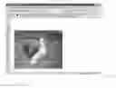 Fig. 01 - Assisted adaptive region editing tool
