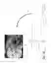 Fig. 13 - Assisted adaptive region editing tool