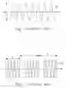 Fig. 02 - DISPLAY APPARATUS WITH ANTI-INTERFERENCE OF RESONANCE AND METHOD THEREOF