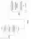 Fig. 06 - Method of coding information in a dual fashion on physical media and in DOTEM computerised form