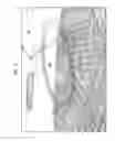 Fig. 06 - Visual detection of clear air turbulence