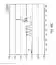 Fig. 97 - Multilane vehicle information capture system