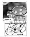 Fig. 06 - Perfecting the effect of flash within an image acquisition devices using face detection