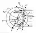 Fig. 01 - SOLAR ENERGY REFLECTION PLATE FOR SUPPRESSING GLOBAL WARMING