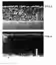 Fig. 04 - METHOD FOR PRODUCING DIELECTRIC FILM AND METHOD FOR PRODUCING CAPACITOR LAYER-FORMING MATERIAL USING THE METHOD FOR PRODUCING DIELECTRIC FILM