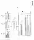 Fig. 11 - Inter-network handover system and method