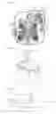 Fig. 02 - Muffler for compressor
