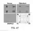 Fig. 43 - Magnetic microstructures for magnetic resonance imaging