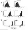 Fig. 45 - Magnetic microstructures for magnetic resonance imaging