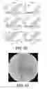 Fig. 46 - Magnetic microstructures for magnetic resonance imaging