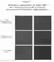 Fig. 02 - Compositions and methods to treat asthma