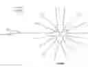 Fig. 01 - MACROMOLECULE CONJUGATE