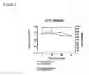 Fig. 10 - Cardiac Tissue-Derived Cells