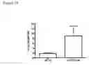 Fig. 15 - Cardiac Tissue-Derived Cells