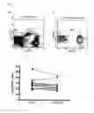 Fig. 09 - Preserved compositions of activated NK cells and methods of using the same