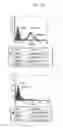 Fig. 05 - Human anti-α9 integrin antibody