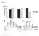 Fig. 04 - IXODES SCAPULARIS SALIVARY PROTEINS AND METHODS OF USE FOR MODULATION OF THE ALTERNATIVE COMPLEMENT PATHWAY