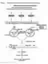 Fig. 03 - Chimeric flavivirus vectors