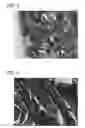 Fig. 07 - Scaffold for tissue regeneration in mammals