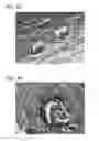 Fig. 10 - Scaffold for tissue regeneration in mammals
