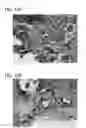 Fig. 13 - Scaffold for tissue regeneration in mammals