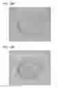 Fig. 16 - Scaffold for tissue regeneration in mammals