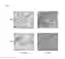 Fig. 02 - BIOSYNTHETIC CARTILAGINOUS MATRIX AND METHODS FOR THEIR PRODUCTION