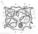 Fig. 01 - Reticulated elastomeric matrices, their manufacture and use in implantable devices